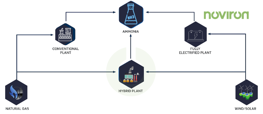 components of the hydrogen economy