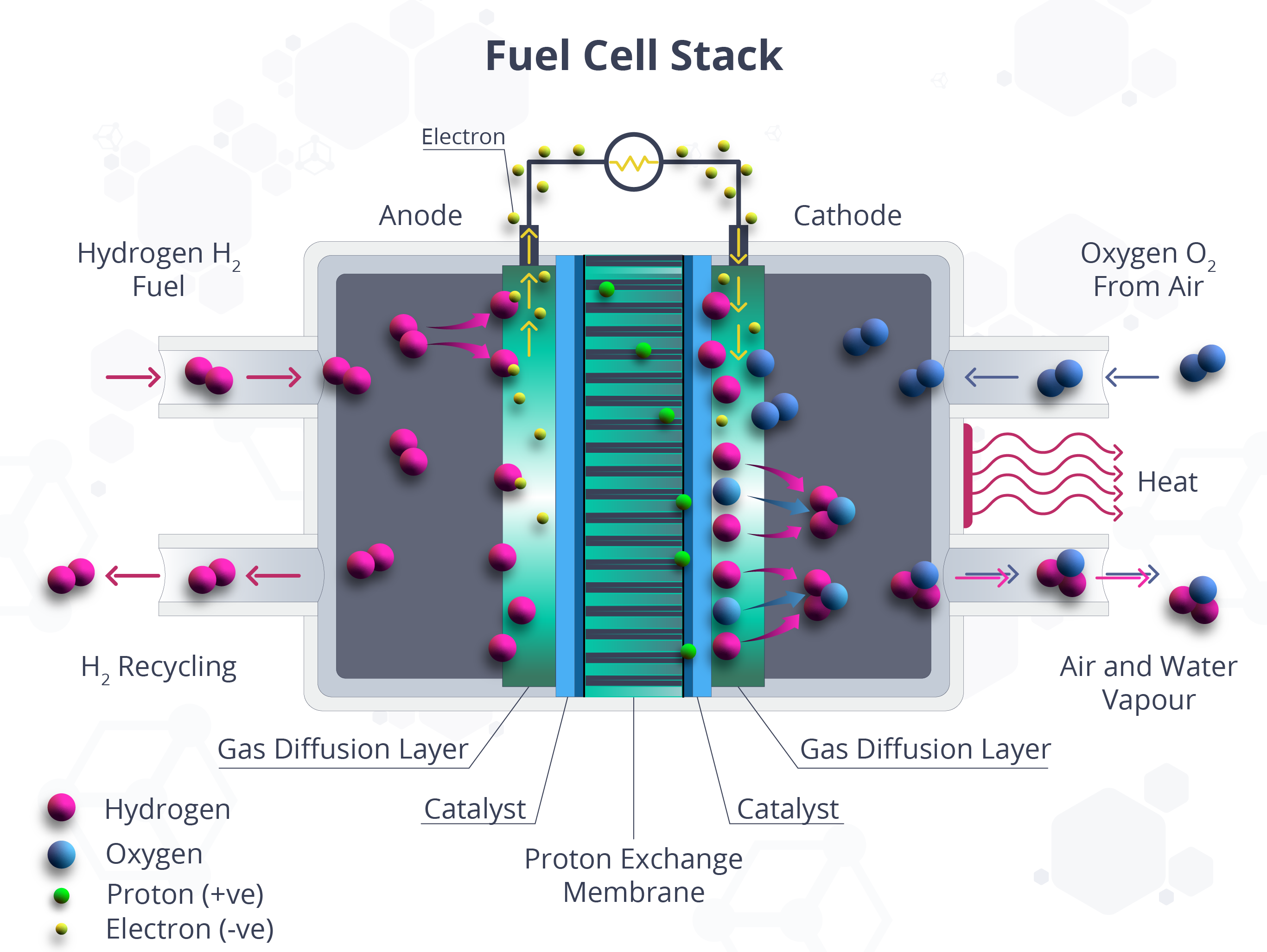 Hydrogen Fuel Cell Stack